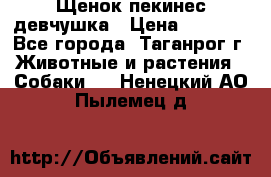 Щенок пекинес девчушка › Цена ­ 2 500 - Все города, Таганрог г. Животные и растения » Собаки   . Ненецкий АО,Пылемец д.